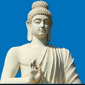 Meet your Posher, Staci